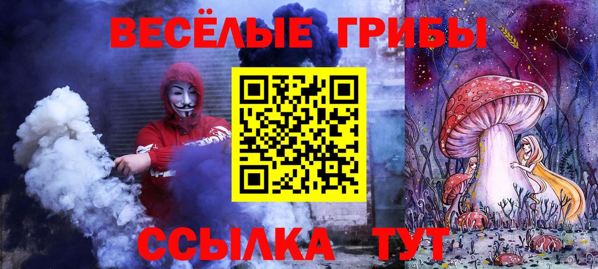 Галлюциногенные грибы Cubensis Лосино-Петровский