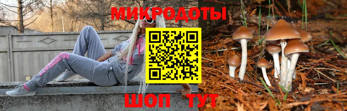хочу   Псилоцибиновые грибы Psilocybine cubensis  Вход с VPN  Лосино-Петровский 